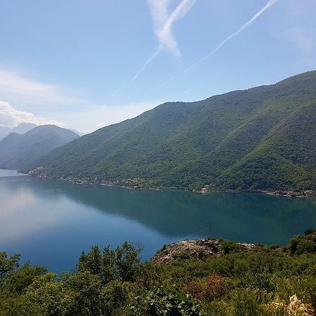 Apartment Titaneli Kotor Dış mekan fotoğraf